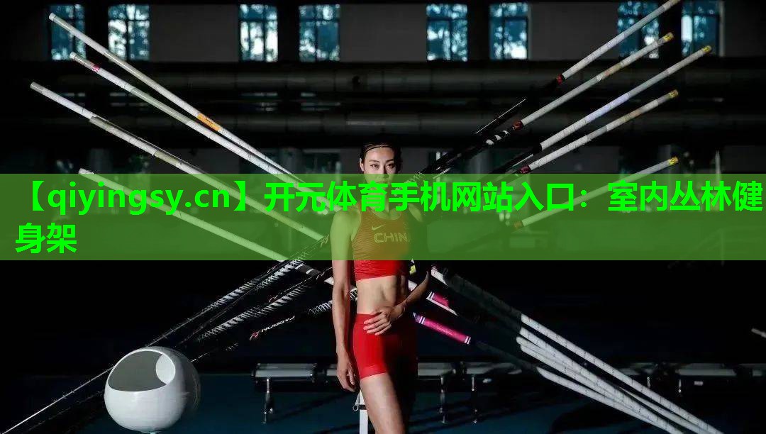 开元体育手机网站入口：室内丛林健身架