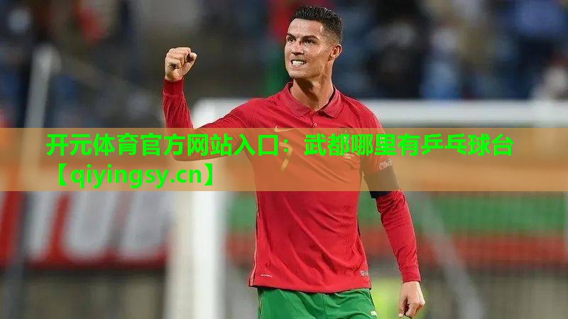 开元体育官方网站入口：武都哪里有乒乓球台