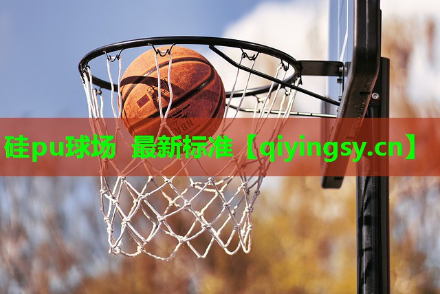 硅pu球场 最新标准