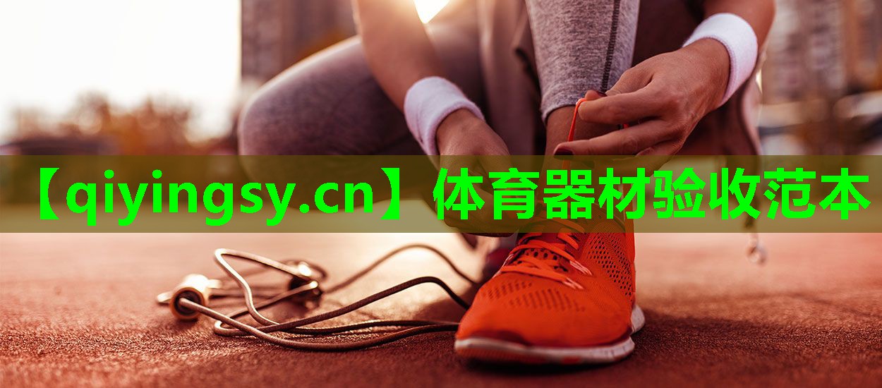 体育器材验收范本