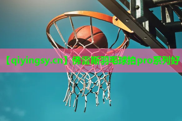 佛雷斯羽毛球拍pro系列好