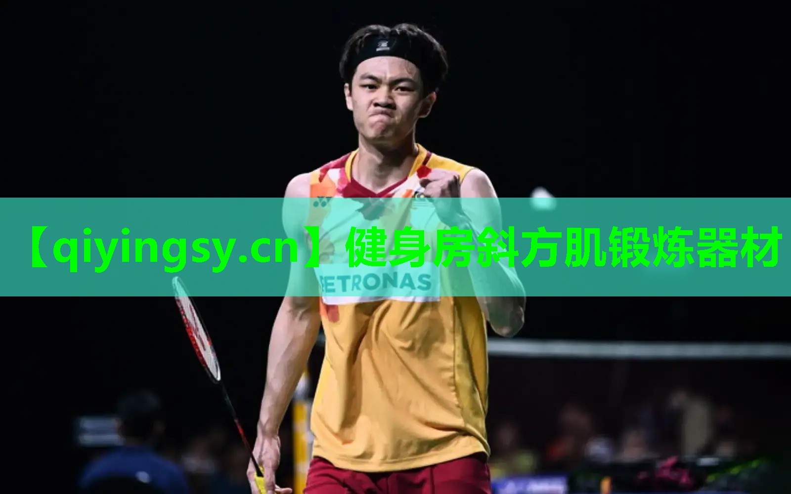 健身房斜方肌锻炼器材