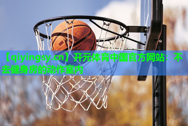 不去健身房的动作室内