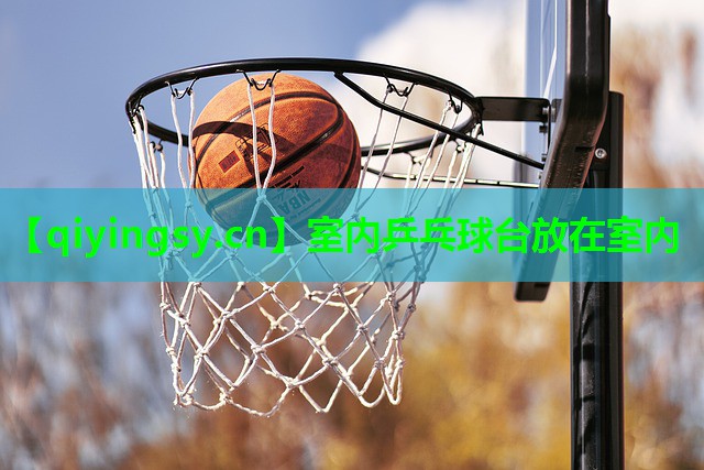 室内乒乓球台放在室内