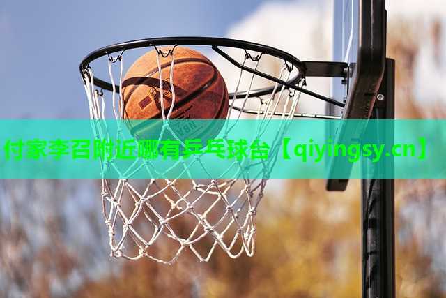 付家李召附近哪有乒乓球台