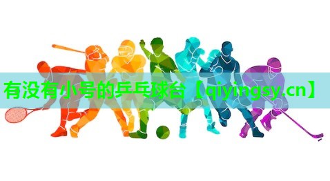 有没有小号的乒乓球台