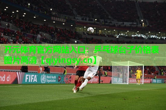 乒乓球台子价格表图片高清