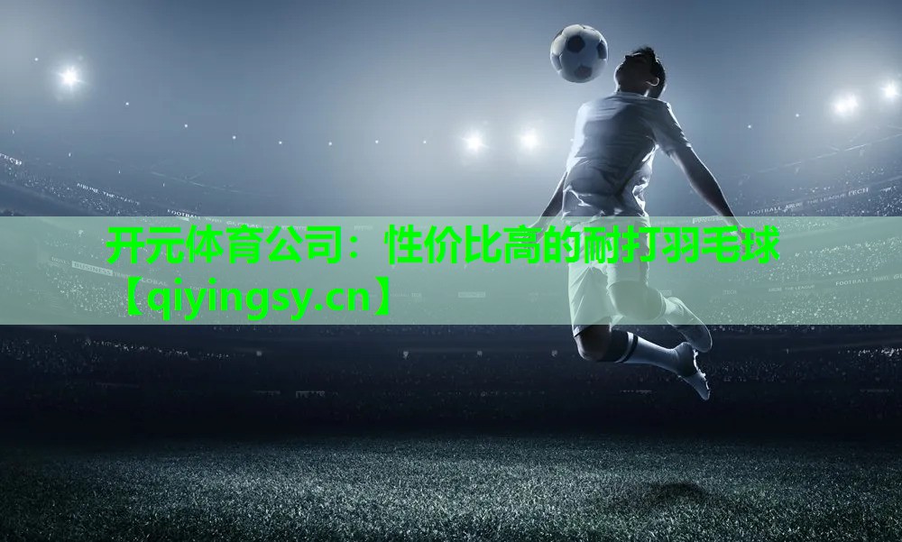 性价比高的耐打羽毛球