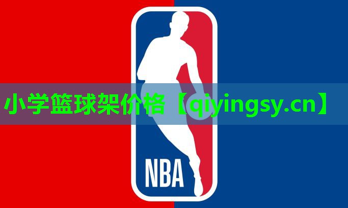 小学篮球架价格